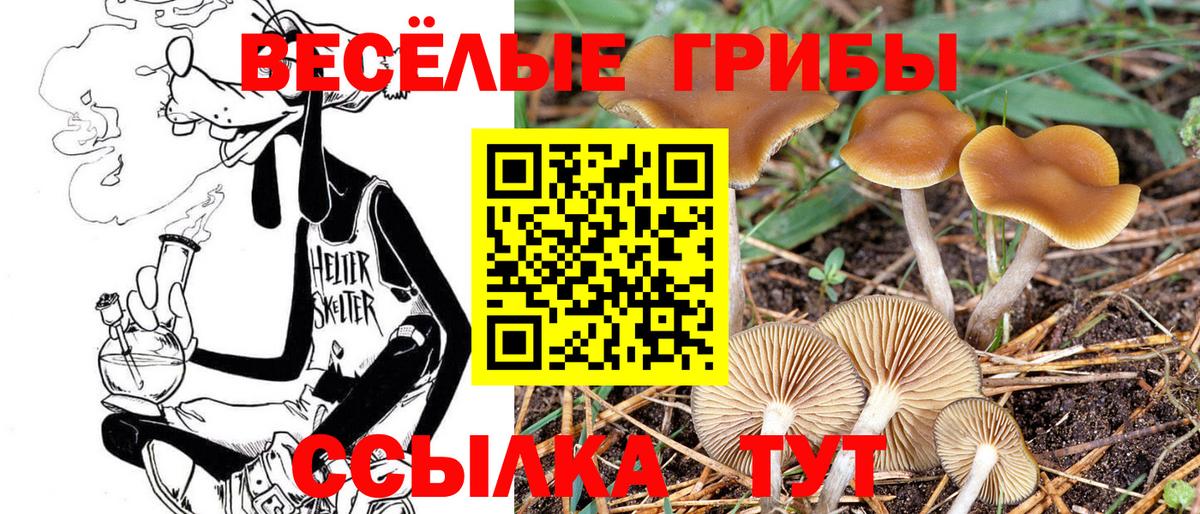 Псилоцибиновые грибы Psilocybine cubensis  сколько стоит  Псков  Вход с VPN 